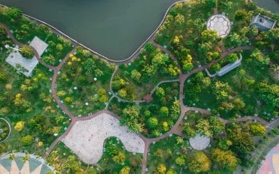 Los beneficios del paisajismo sostenible en proyectos de construcción
